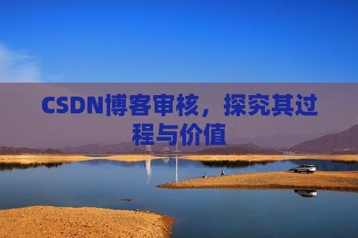 CSDN博客审核，探究其过程与价值